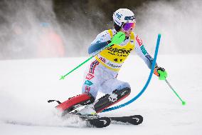 SPORT INVERNALI - Sci Alpino - 2026 Audi FIS Ski World Cup - Men's Slalom
