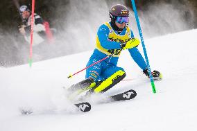 SPORT INVERNALI - Sci Alpino - 2026 Audi FIS Ski World Cup - Men's Slalom