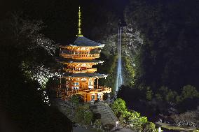 Nachi Falls lit up in western Japan