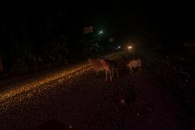 Flash Flood Aftermath In Aceh Tamiang - Indonesia