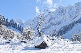 People Enjoy The Season's First Snowfall In Kashmir