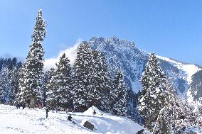 People Enjoy The Season's First Snowfall In Kashmir