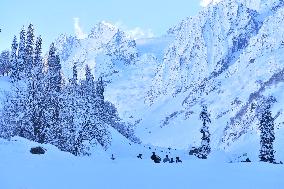People Enjoy The Season's First Snowfall In Kashmir
