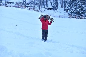 People Enjoy The Season's First Snowfall In Kashmir