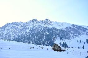 People Enjoy The Season's First Snowfall In Kashmir