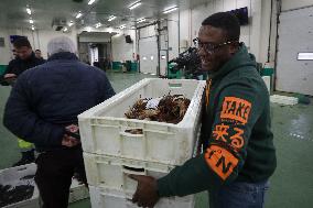Last Seafood Auction Before Christmas Eve In Burela - Spain