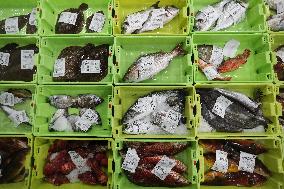 Last Seafood Auction Before Christmas Eve In Burela - Spain