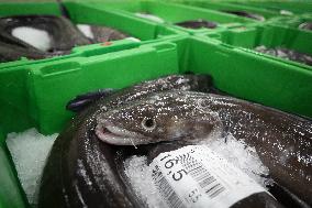 Last Seafood Auction Before Christmas Eve In Burela - Spain