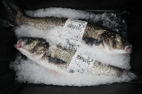 Last Seafood Auction Before Christmas Eve In Burela - Spain