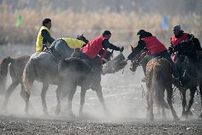 Sheep Snatching Competition