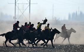 Sheep Snatching Competition