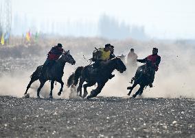 Sheep Snatching Competition