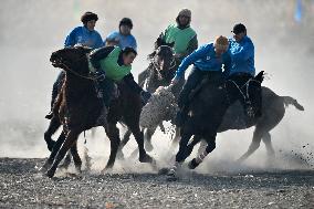 Sheep Snatching Competition
