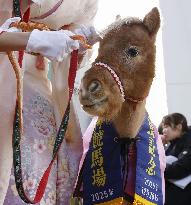 Zodiac transition ceremony