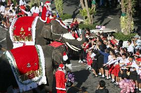 Elephants in Christmas-Themed Costumes - Thailand