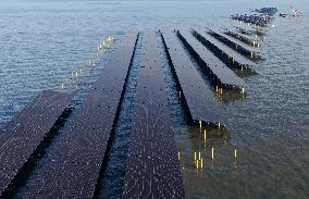 Offshore Photovoltaic Power Station in Waters - China