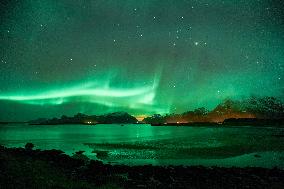 Aurora Seen at Night - Norway