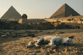 Illustration - Egypt