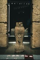 Illustration - Egypt