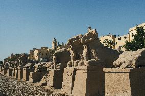 Illustration - Egypt