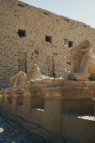 Illustration - Egypt