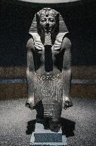 Illustration - Egypt