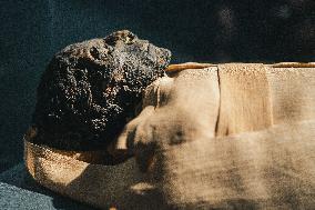 Illustration - Egypt