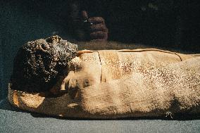 Illustration - Egypt