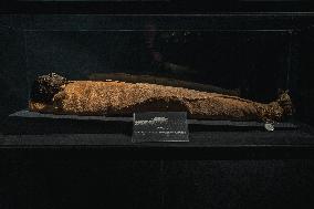 Illustration - Egypt