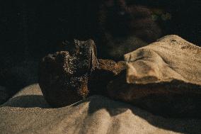 Illustration - Egypt