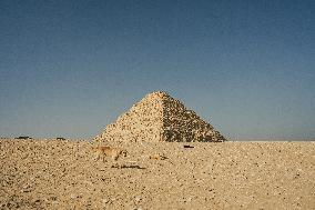 Illustration - Egypt