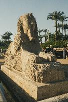 Illustration - Egypt