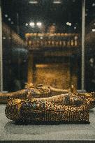 Illustration - Egypt