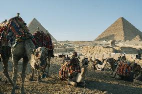 Illustration - Egypt