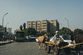 Illustration - Egypt