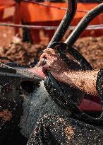 Off-Road Beasts Show Power In Erbil - Iraq