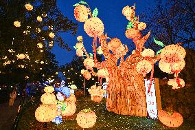 Festive Lantern Exhibited in Nanjing
