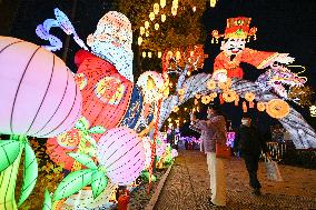 Festive Lantern Exhibited in Nanjing