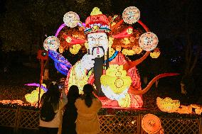 Festive Lantern Exhibited in Nanjing