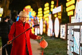 Festive Lantern Exhibited in Nanjing