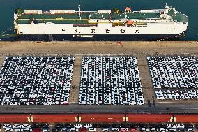 Shandong Ports Cargo Throughput