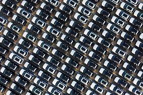 Shandong Ports Cargo Throughput