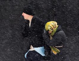 Snowfall in Toronto - Canada