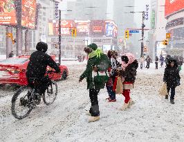 Snowfall in Toronto - Canada