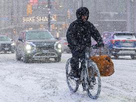 Snowfall in Toronto - Canada
