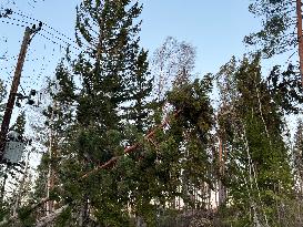 STORM JOHANNES SWEDEN