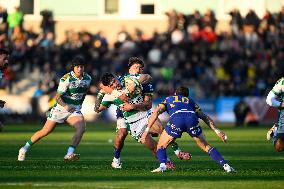 RUGBY - URC Rugby - Zebre Parma vs Benetton Rugby