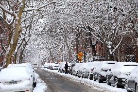 Winter Storm with Snow in New York
