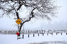 Winter Storm with Snow in New York