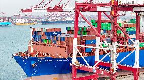 Shandong Ports Cargo Throughput